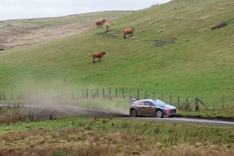 Thierry Neuville, Nicolas Gilsoul, Hyundai Motorsport Hyundai i20 Coupe WRC