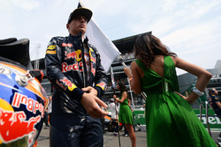 Max Verstappen, Red Bull Racing en la parrilla