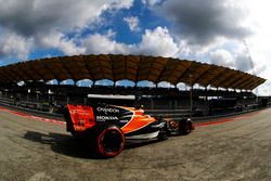 Stoffel Vandoorne, McLaren MCL32