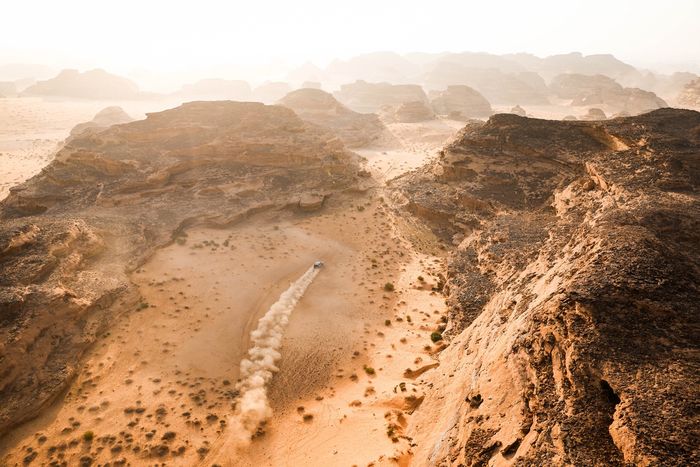 #225 フォード M-Sport フォード：カルロス・サインツ・シニア、ルーカス・クルーズ