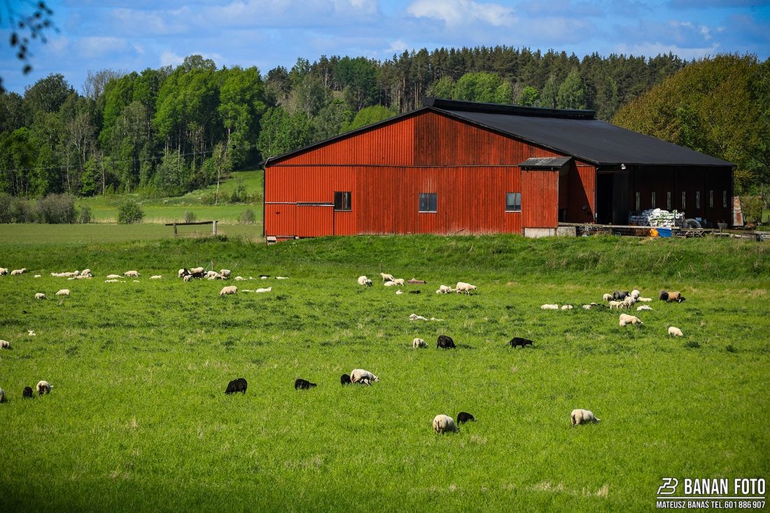 Rajd Skandynawii 2025