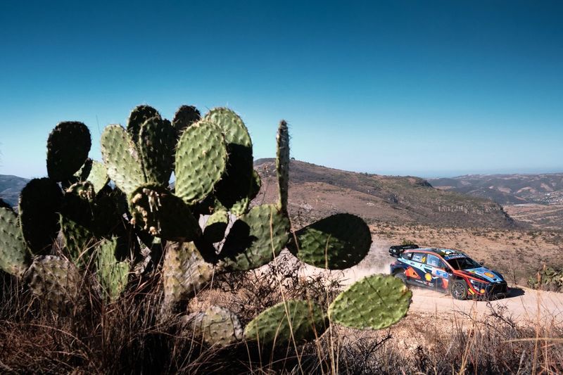 Esapekka Lappi, Janne Ferm, Hyundai World Rally Team Hyundai i20 N Rally1