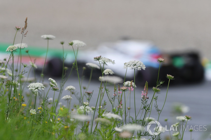 Ленс Стролл, Williams FW41