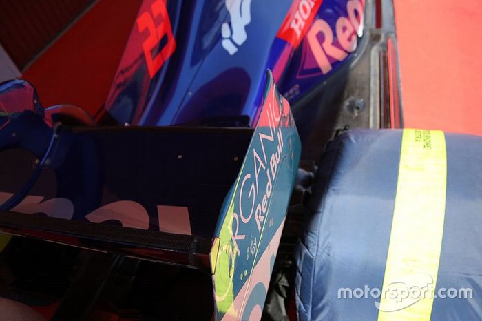 Detalle del Toro Rosso