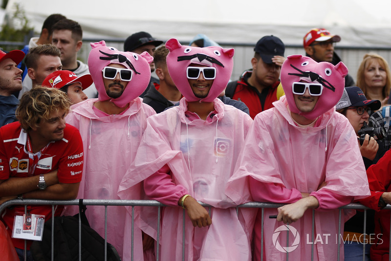 Pink Panther fans