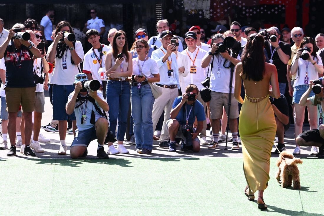 Kika Cerqueira Gomes w padoku 