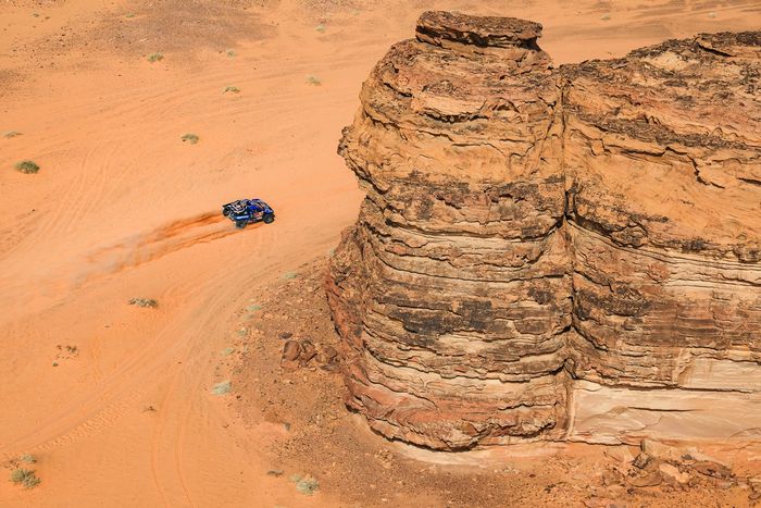 #225 Ford M-Sport Ford: Карлос Сайнс-старший, Лукас Круз