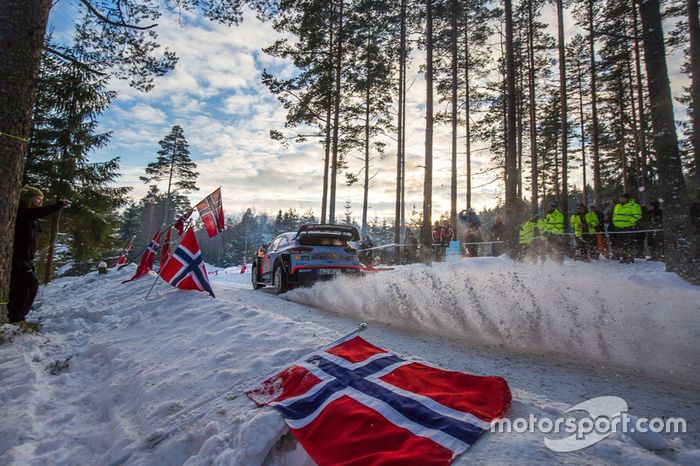 Hayden Paddon, Sebastian Marshall, Hyundai i20 WRC, Hyundai Motorsport