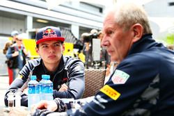 Dr Helmut Marko, Red Bull Racing Team Consultor con Max Verstappen, Scuderia Toro Rosso