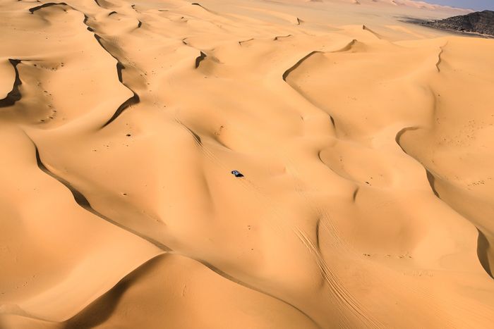 #227 Ford M-Sport Ford: Nani Roma, Alex Haro Bravo