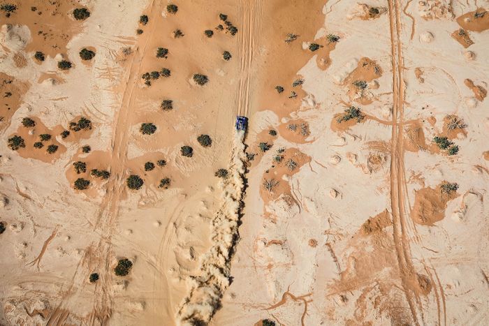 #226 Ford M-Sport Ford: Mattias Ekstrom, Emil Bergkvist