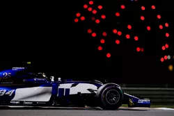 Pascal Wehrlein, Sauber C36