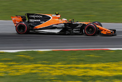 Stoffel Vandoorne, McLaren MCL32