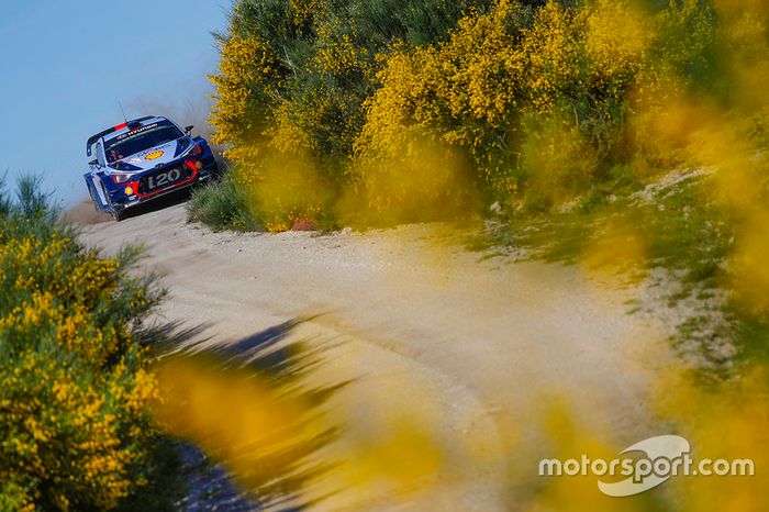 Thierry Neuville, Nicolas Gilsoul, Hyundai i20 WRC, Hyundai Motorsport