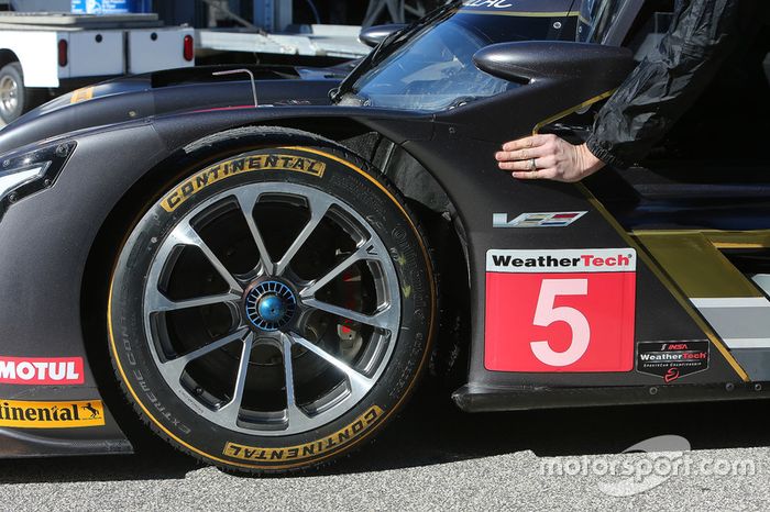 #5 Action Express Racing Cadillac DPi: Joao Barbosa, Christian Fittipaldi, Filipe Albuquerque