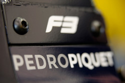 Pedro Piquet, Van Amersfoort Racing, Dallara F312 - Mercedes-Benz