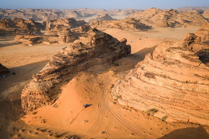 #225 フォード M-Sport フォード：カルロス・サインツ・シニア、ルーカス・クルーズ