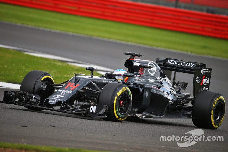 fernando alonso, mclaren mp4-31