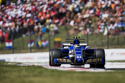 Pascal Wehrlein, Sauber C36-Ferrari