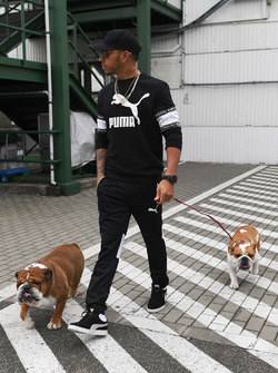 Lewis Hamilton, Mercedes AMG F1, mit seinen Hunden Roscoe und Coco