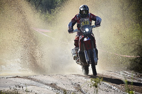 Gon&ccedil;alves: &ldquo;Hab&iacute;a animales por todos lados&rdquo;