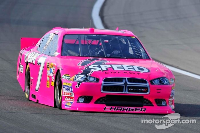 Octubre es a menudo el mes del color rosa: Robby Gordon en Kansas City 2011...
