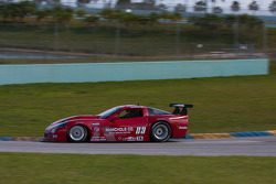 #23 McNichols Company Chevrolet Corvette: Amy Ruman