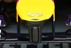 Red Bull Racing RB10 nosecone detail