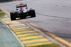 Daniel Ricciardo, Red Bull Racing RB11