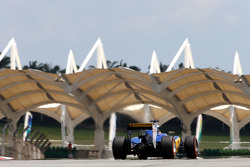 Маркус Эрикссон, Sauber F1 Team