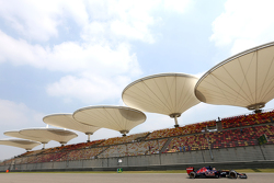 Макс Ферстаппен, Scuderia Toro Rosso