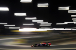 Daniel Ricciardo, Red Bull Racing RB11
