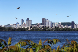 Escénico Montreal
