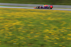 Daniel Ricciardo, Red Bull Racing RB11