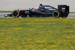 Fernando Alonso, McLaren MP4-30
