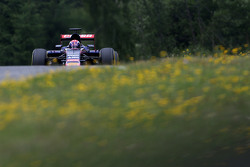 Макс Ферстаппен, Scuderia Toro Rosso