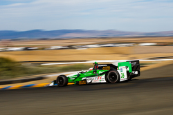 Carlos Munoz, Andretti Autosport Honda