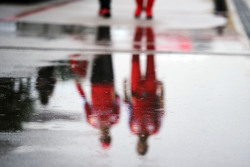 雨中的围场