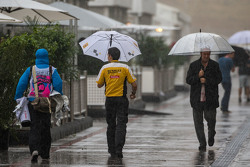 A wet and rainy paddock