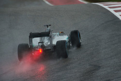 Lewis Hamilton, Mercedes AMG F1 W06