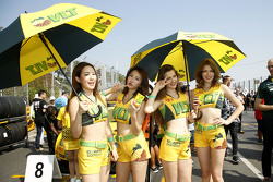 Bezaubernde Gridgirls