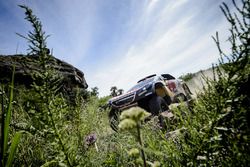 #321 Peugeot: Cyril Despres, David Castera