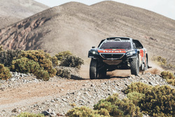 #314 Peugeot: Sébastien Loeb, Daniel Elena