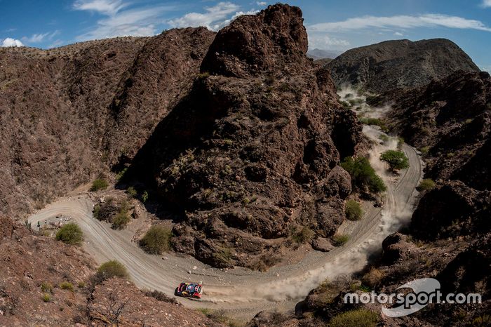 #321 Peugeot: Cyril Despres, David Castera