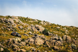 #300 Mini: Nasser Al-Attiyah and Matthieu Baumel
