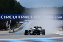 Stoffel Vandoorne, McLaren MP4-30